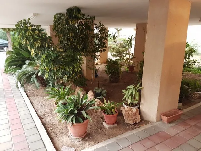 דירה 3.5 חדרים למכירה בזבולון 4, קרית ביאליק — תמונה 2