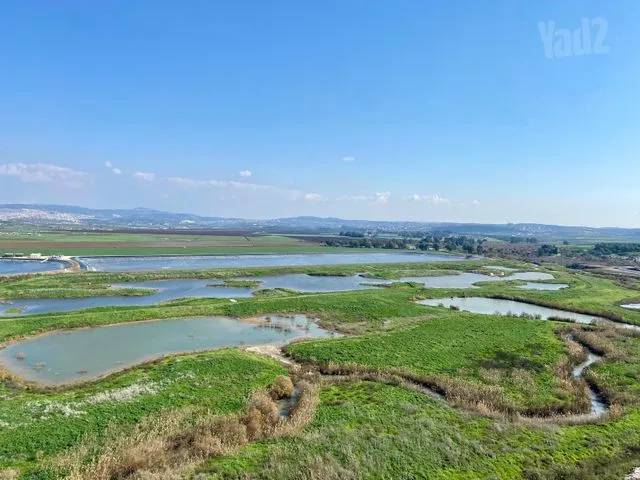 דירה 4 חדרים למכירה באריק אינשטיין 10, קרית ביאליק — תמונה 4