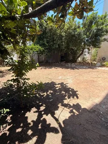 דירת גן בציזלינג — תמונה 4