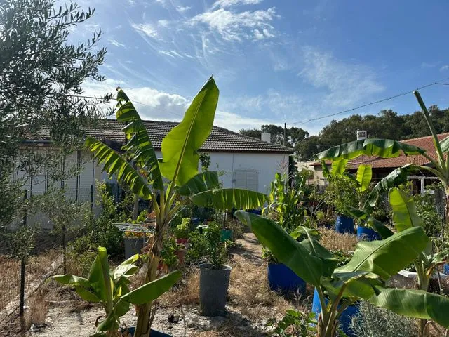 דו משפחתי באביגדור עשת 60 — תמונה 9
