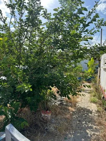 דו משפחתי 3.5 חדרים למכירה באביגדור עשת 60, קרית חיים — תמונה 8